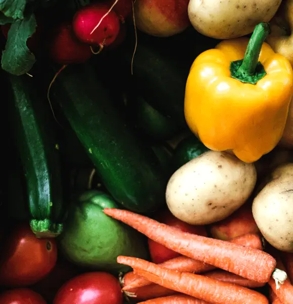 Alimentação prática para treinar melhor 